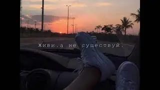 [2021] ►►► Super Monkeys - Амстердам🔥🔥