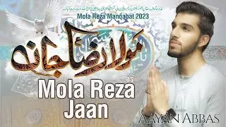 Moula Raza Jan | Mola Imam Ali Raza Manqabat 2023 | Ayaan Abbas | TNA Records
