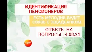 ИДЕНТИФИКАЦИЯ ПЕНСИОНЕРОВ .Ответы на вопросы 14.08.24