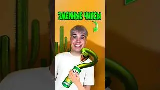 ЧИПСЫ ИЗ ЗМЕИ ПРАНК! ОНА ЕГО СЪЕЛА? 