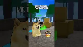 First time you play bloxfruits🤩| Doge Gaming
