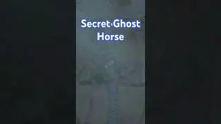 🐴 Secret Ghost Horse in the Sims 4 - Horse Ranch EP needed 