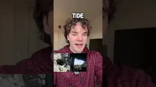 Garfield Phones Washed Up On Shore 