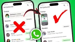 Как исправить проблему с неотображением статуса WhatsApp (2025)