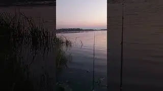 11 июля 2024