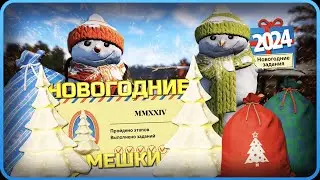 Новогодние мешки и прохождение Первой квалификации в РР4!