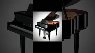 telly is a great piano