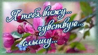 Я тебя вижу, чувствую, слышу...  Для Любимки