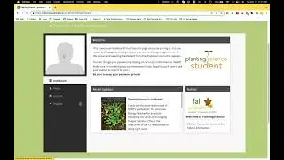 Fall 2023 Tutorial - What Students See and Do