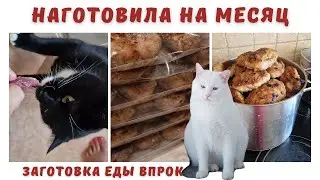 Наготовила на месяц.Заготовка еды впрок.Чем накормить семью.Еда на месяц.Готовлю много и вкусно.Влог