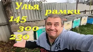Пасека на 145, 230 или 300, какая система ульев лучше, с какой рамкой работать..!? Давай разберемся!