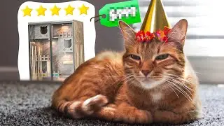 Spoiling Kurt for his 5th Birthday