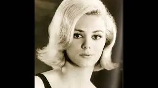 jackie deshannon & the searchers - when you walk in the room ( 1964 ) ( mix )