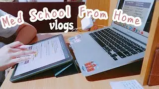 MED SCHOOL FROM HOME: first few days of online classes | ust med