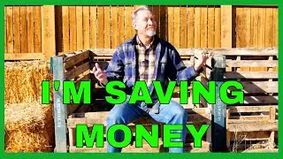 8 Ways to Save Money in the Garden