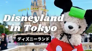 【EN/JP】ディズニーで食べまくったよ！初めてのミッキー / My first visit of Disneyland