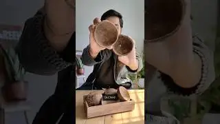 Кокосовый бизнес