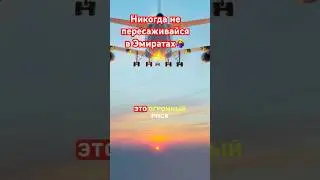 Никогда не летай через Эмираты (если «рыльце в пушку»)