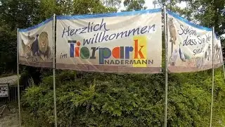 Tierpark Nadermann - Delbrück-Schöning - September 2024 - In 4 K + Untertitel in 18 Sprachen