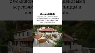 Лиса исполнила свою мечту из 2019 года