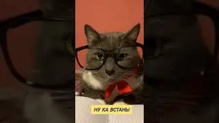 Однажды на уроке Истории 😄