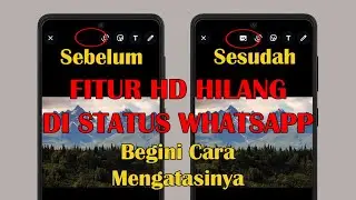 Cara Mengatasi Fitur HD Yang Hilang Saat Ingin Membuat Status di WhatsApp