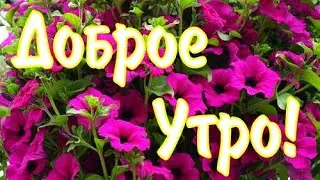 ДОБРОЕ УТРО!С добрым утром и хорошим днём!Пожелания для друзей.Красивый парк города Вольска.Вольск.