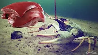 ГОВЯЖЬЯ ПЕЧЕНЬ В ДЕЛЕ!!! РАКИ АТАКУЮТ ПОДВОДНЫЕ КАМЕРЫ!!!