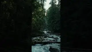 Hiking Juniper Trails Cinematic