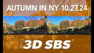 3DNY: Autumn in New York 10-27-24  3D Full SBS Spatial Video - Anamorphic 60fps