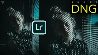 How to EXPORT and SHARE Lightroom presets (DNG) on Lightroom Mobile | PiXinCreate