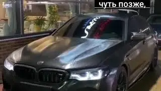 приколы 2020 лучшие до слез // Black Cat