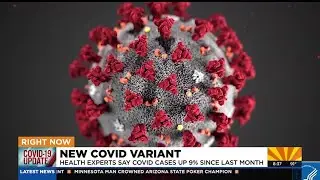 New COVID-19 variant bringing cases up in Arizona, nationwide