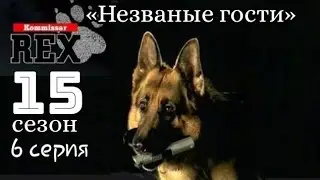 Комиссар Рекс, 15 сезон, 6 серия «Незваные гости»