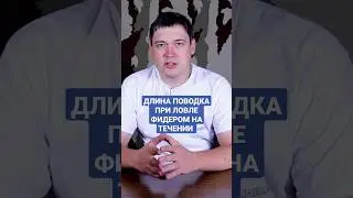 О длине фидерного поводка на течении (полное видео ищите на канале 