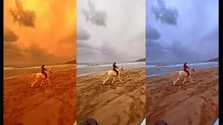 Horse and car race, the Persians and the beauty  , race