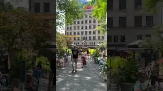 ЛЮДИ ОТДЫХАЮТ 😀В ЦЕНТРЕ НЬЮ-ЙОРК ВЫХОДНЫЕ В АМЕРИКЕ ПОШЛИ ГУЛЯТЬ 