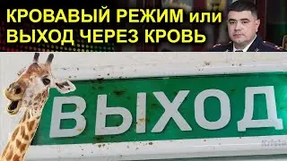 КРОВАВЫЙ РЕЖИМ или ВЫХОД ЧЕРЕЗ КРОВЬ 2023.06.19 Сургут