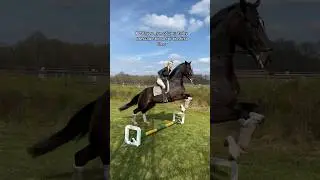 Whoop whoop 😂🐴💥 