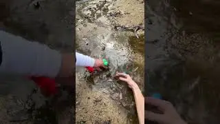 FORBIDDEN STREAM!