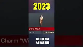 2022-2023 Charm Wing 