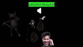 Мошенник не смог вывезти разговор 😂 