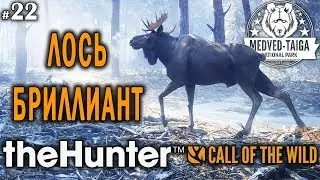 theHunter call of the wild #22 🔫 - Лось-Бриллиант - Винтовка - Медведь, Кабан, Рысь, Лось, Кабарга