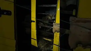 необычная маршрутка в Армении 