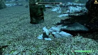 SKYRIM: Как Успокоить Сюжетного, Квестового NPC