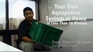 DIY Aquaponics System in 10 mins