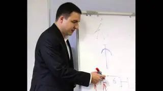 Настройка чакр. Мысленное управление чакрами и сканирование