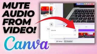 How To Remove Audio From Any Video in Canva (Canva Beginners Guide) - 2025