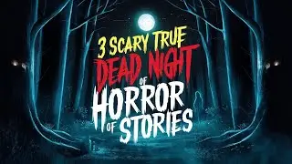3 Scary TRUE Dead of Night Horror Stories