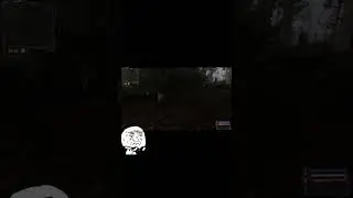 куст левитирует #игры #прохождение #прохождениеигр #games #stalker #летсплей #игра